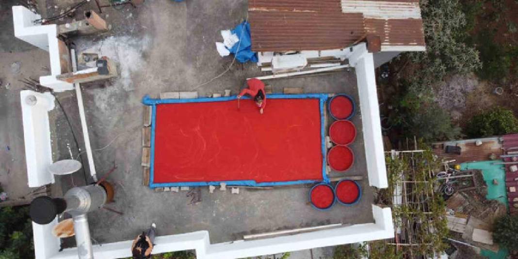 Güneşte pişiyor buram buram emek kokuyor! Adana’da yoğun mesai: Damlarda rengarenk sergileniyor 1